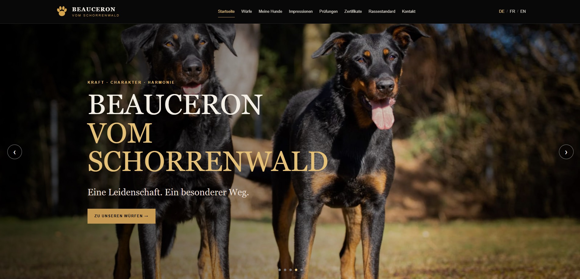 Website Referenz Beauceron vom Schorrenwald